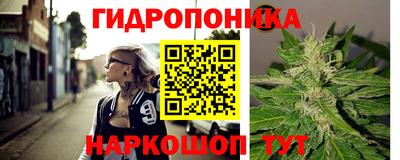 метадон Аргун